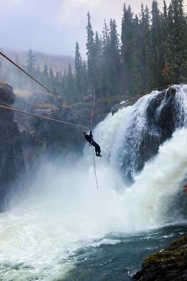 Activities offerd by Tree House luxury vacations Pvt. Ltd.